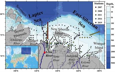 Structure and Inter-Annual Variability of the Freshened Surface Layer in the Laptev and East-Siberian Seas During Ice-Free Periods